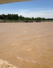 Yellow River waters during the water and sediment regulation season aimed at clearing sediment.